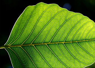 免费DDOS攻击测试工具